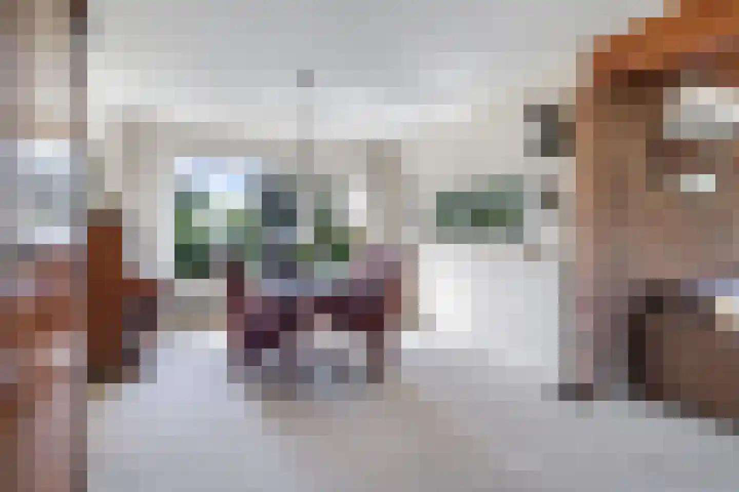 Wilgenstraat 1 Huissen thumbnail 15
