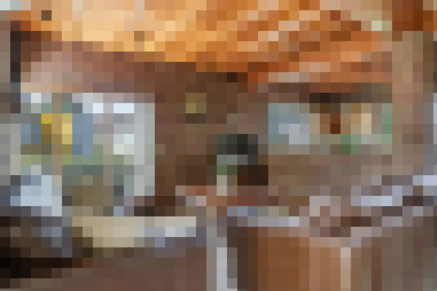 Wilgenstraat 1 Huissen thumbnail 19