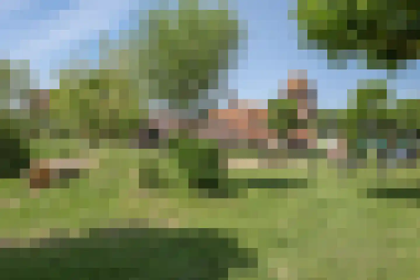 Wilgenstraat 1 Huissen thumbnail 68