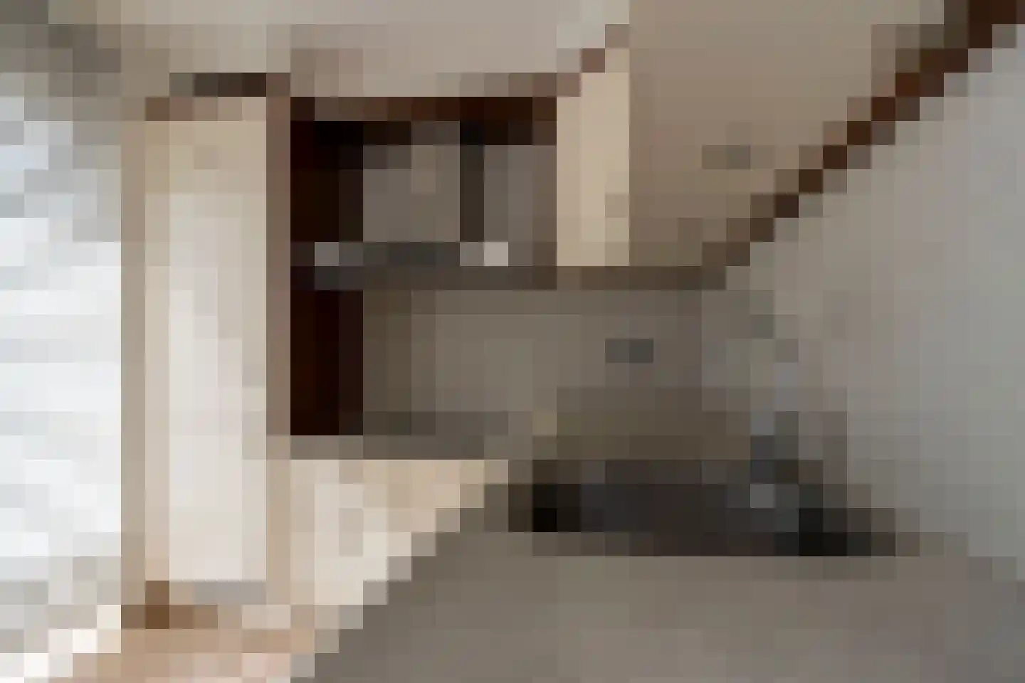Wilgenstraat 1 Hunsel thumbnail 11