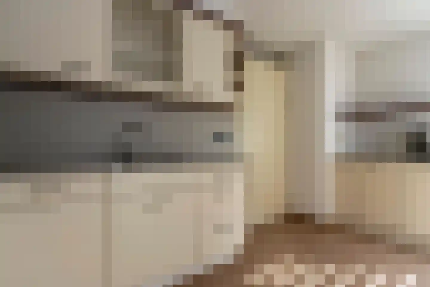 Wilgenstraat 1 Hunsel thumbnail 13