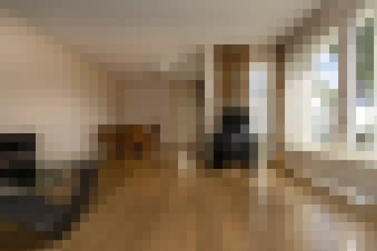 Wilgenstraat 1 Hunsel thumbnail 15