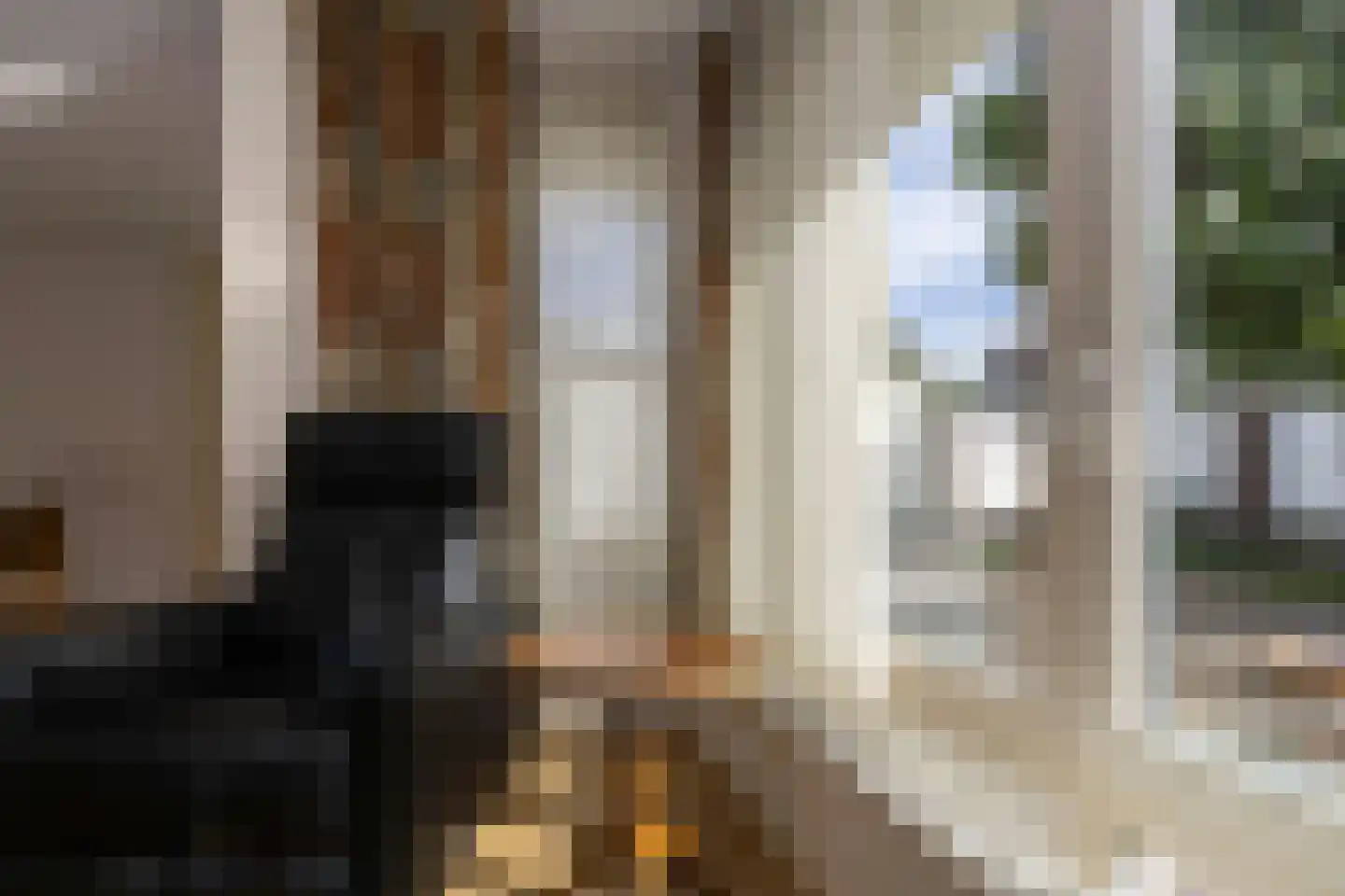 Wilgenstraat 1 Hunsel thumbnail 17