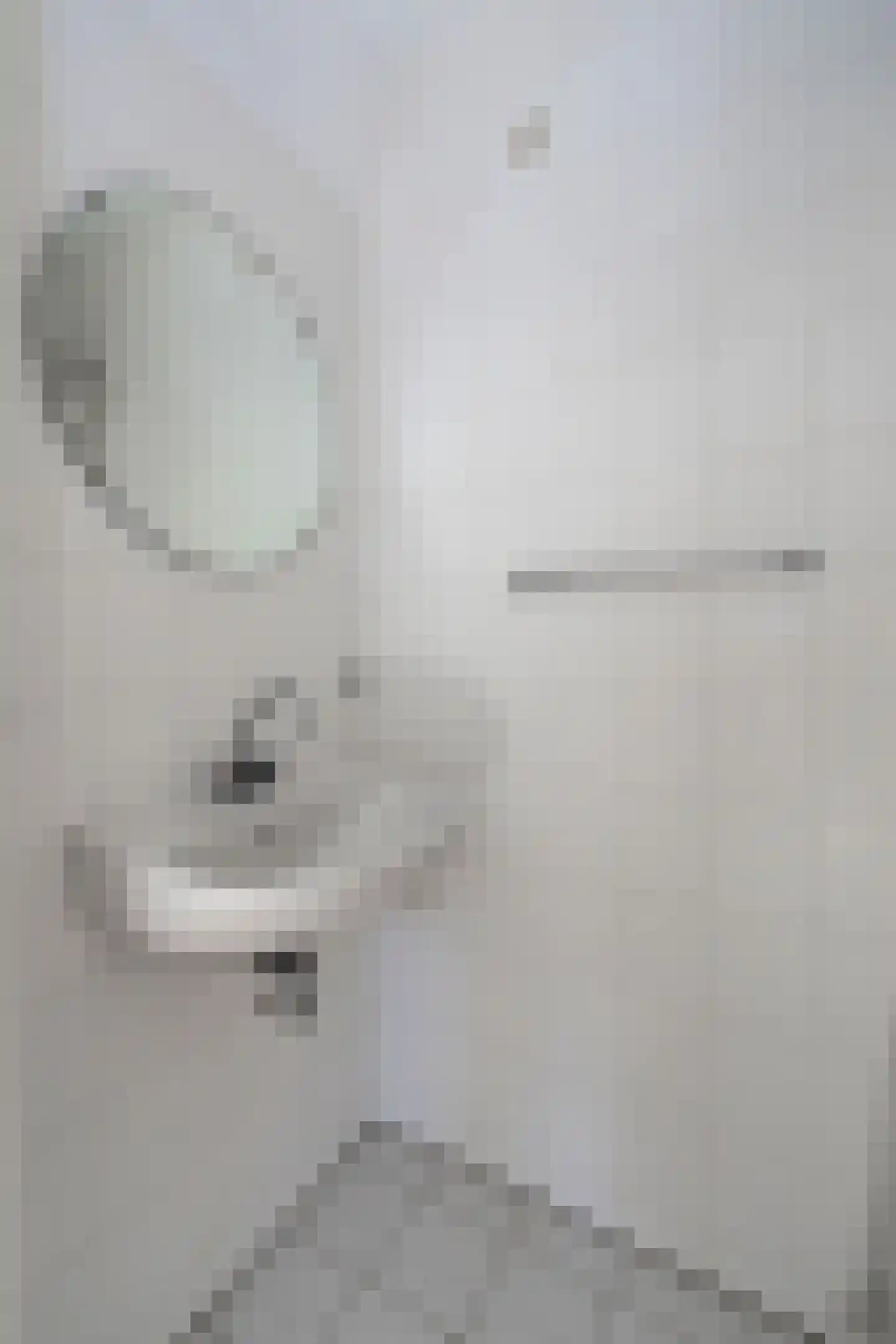 Wilgenstraat 1 Hunsel thumbnail 32