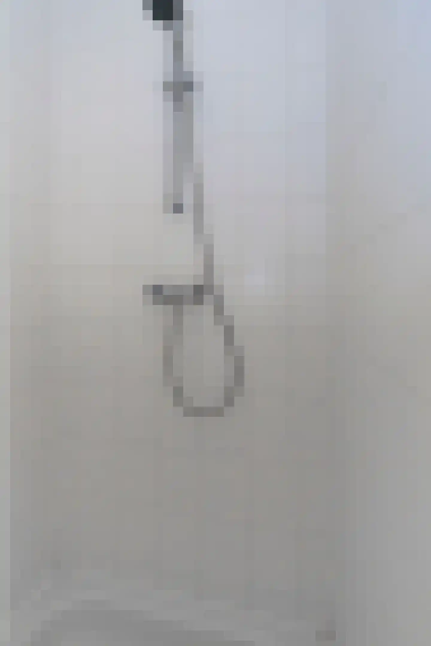 Wilgenstraat 1 Hunsel thumbnail 33