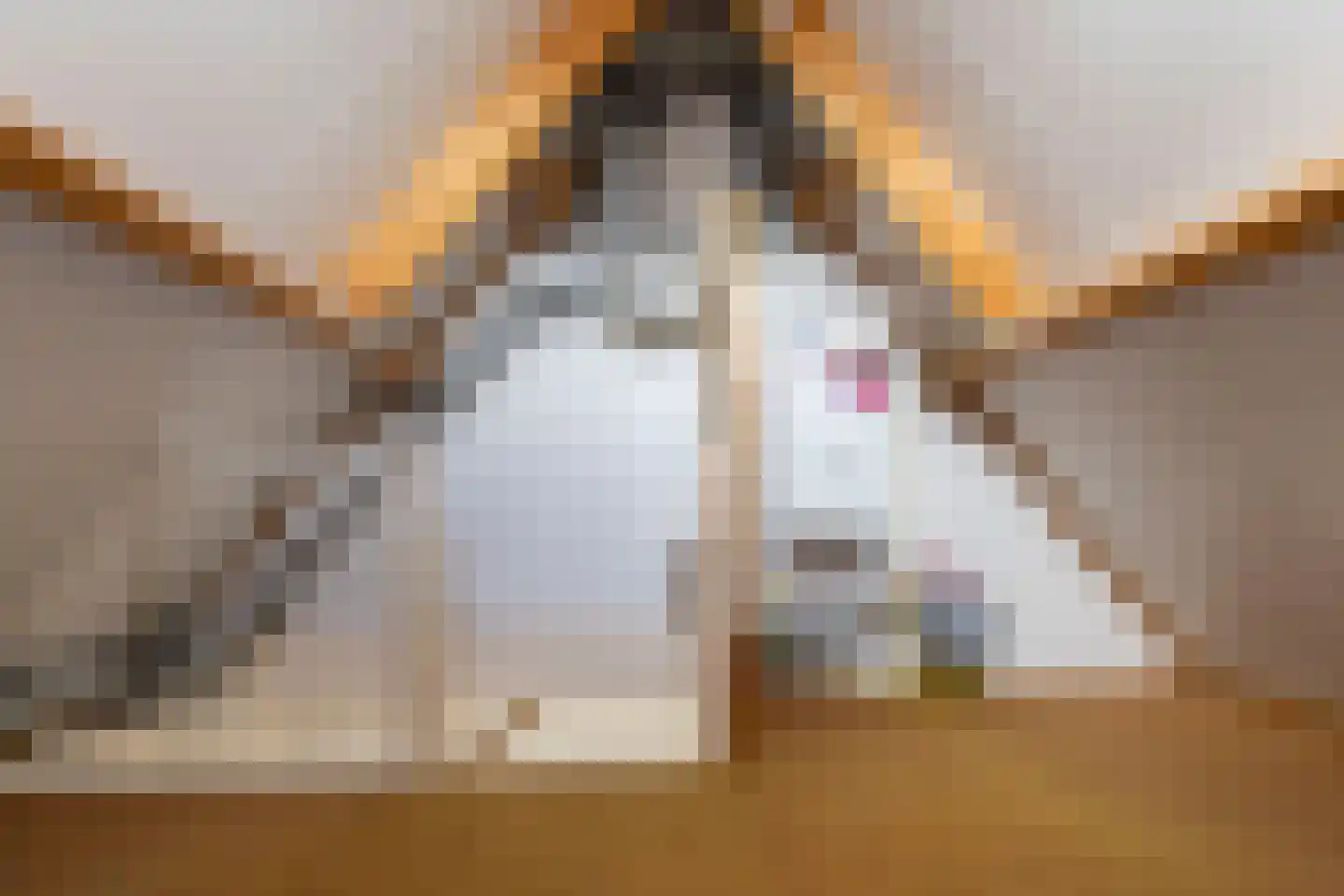 Wilgenstraat 1 Hunsel thumbnail 34