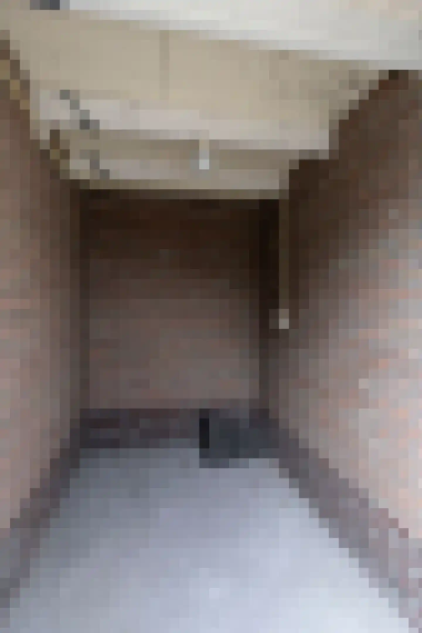 Wilgenstraat 1 Hunsel thumbnail 44