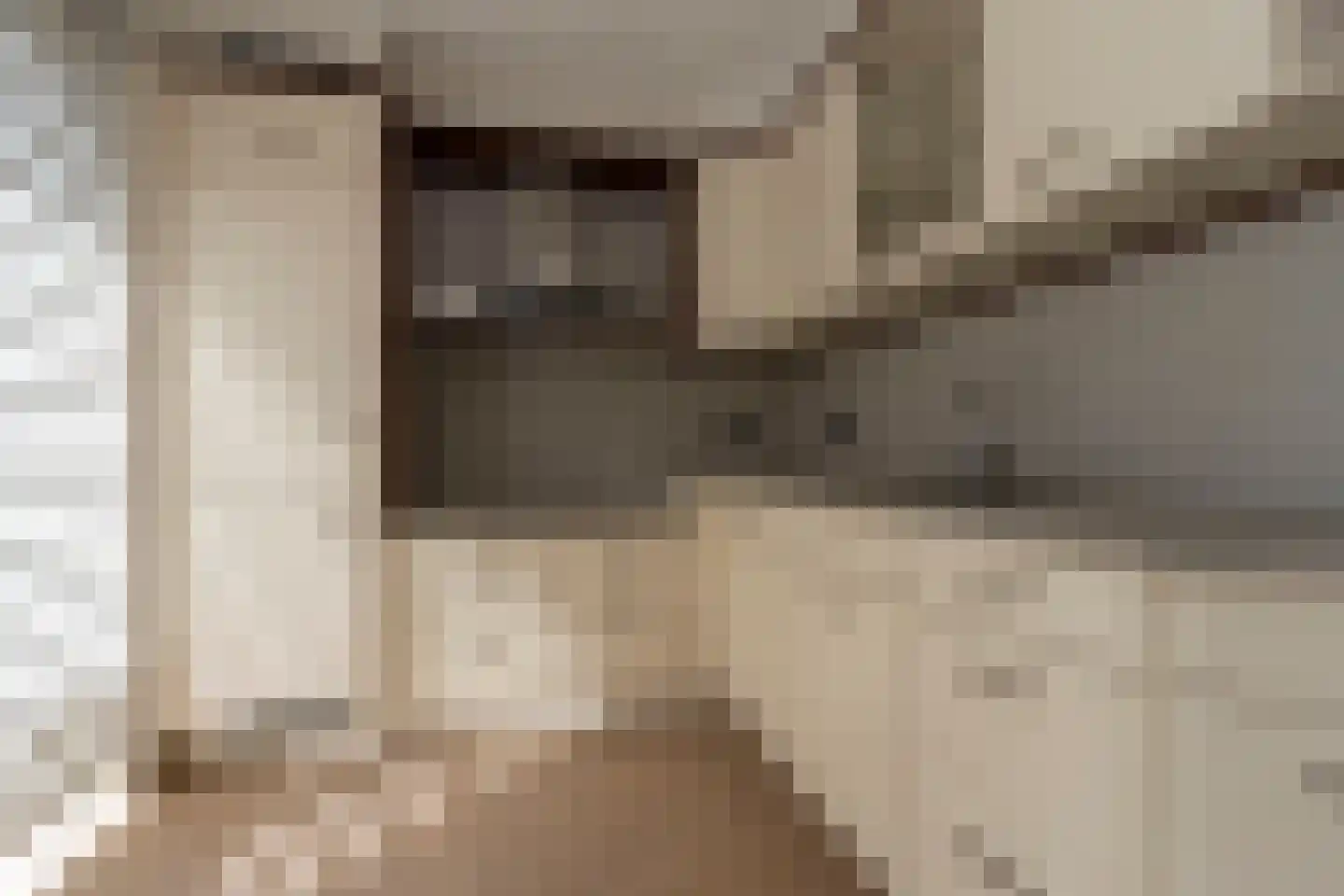 Wilgenstraat 1 Hunsel thumbnail 9