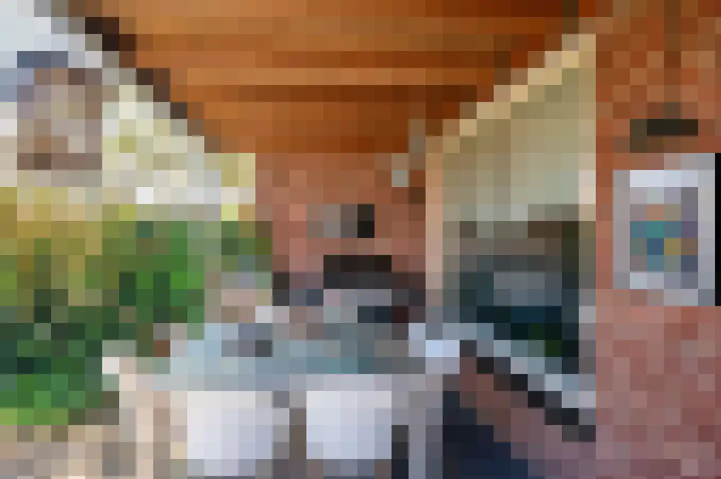Wilgenstraat 1 Venray thumbnail 30
