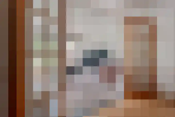Wilgenstraat 10 Dalen thumbnail 16