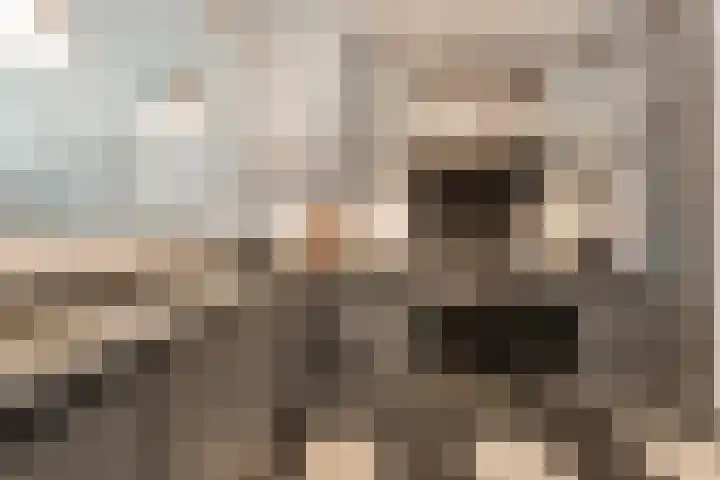 Wilgenstraat 10 Dalen thumbnail 20