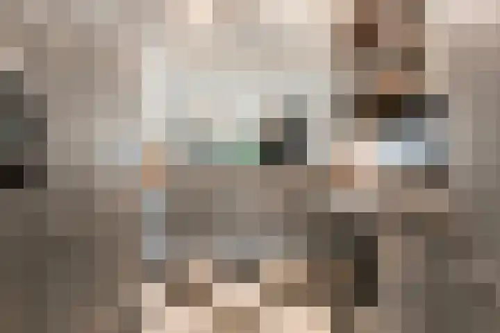 Wilgenstraat 10 Dalen thumbnail 22