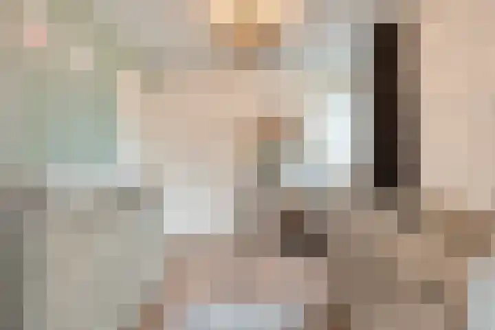 Wilgenstraat 10 Dalen thumbnail 31