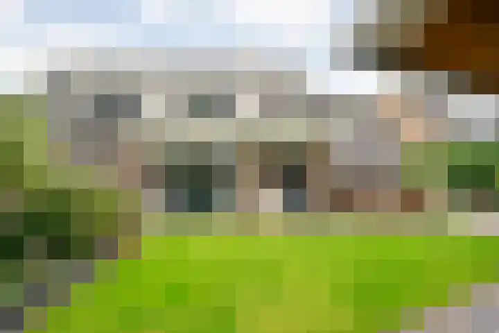 Wilgenstraat 10 Dalen thumbnail 37