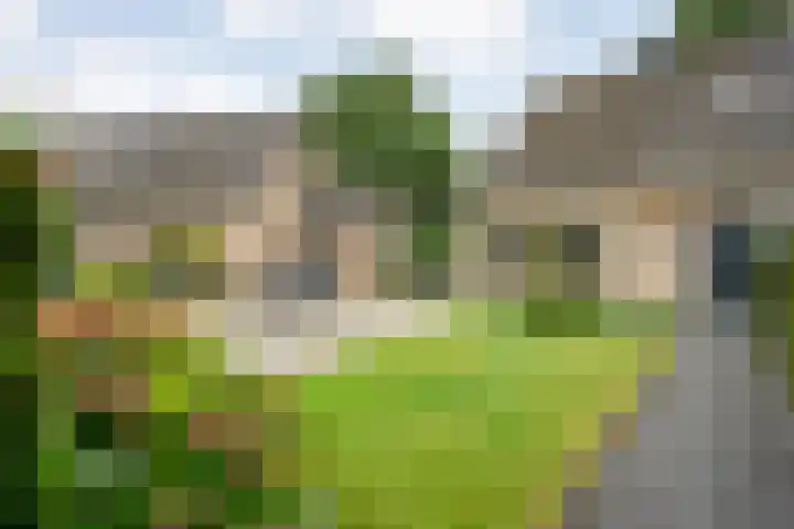 Wilgenstraat 10 Dalen thumbnail 4