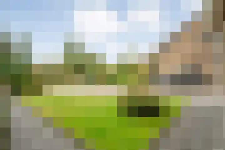 Wilgenstraat 10 Dalen thumbnail 5