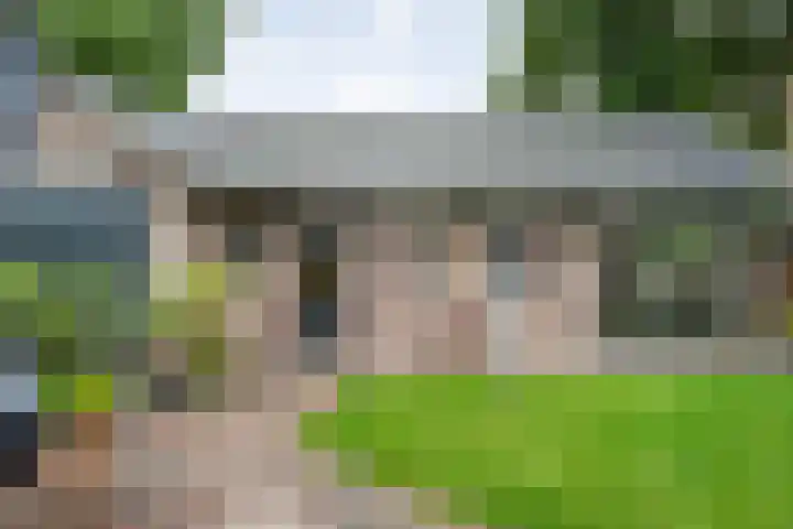 Wilgenstraat 10 Dalen thumbnail 52