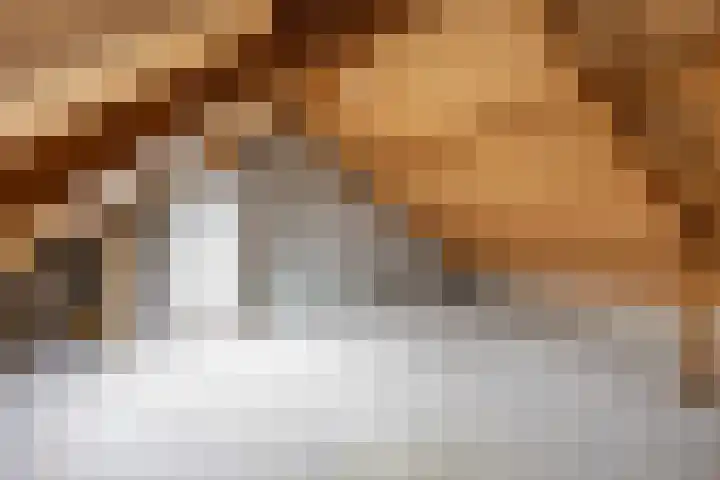 Wilgenstraat 10 Grootegast thumbnail 32