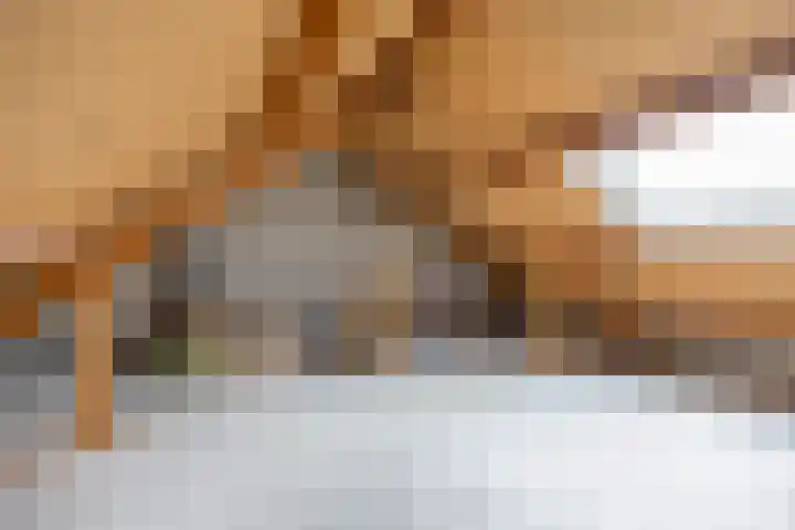 Wilgenstraat 10 Grootegast thumbnail 33