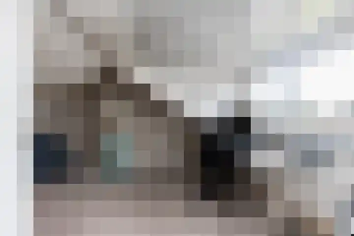 Wilgenstraat 12 Eethen thumbnail 38