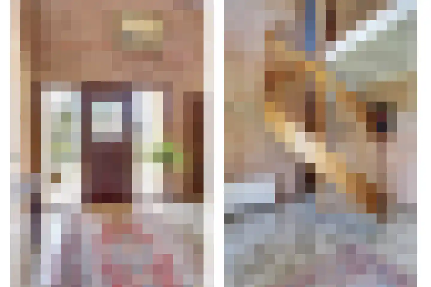 Wilgenstraat 12 St. Willebrord thumbnail 12