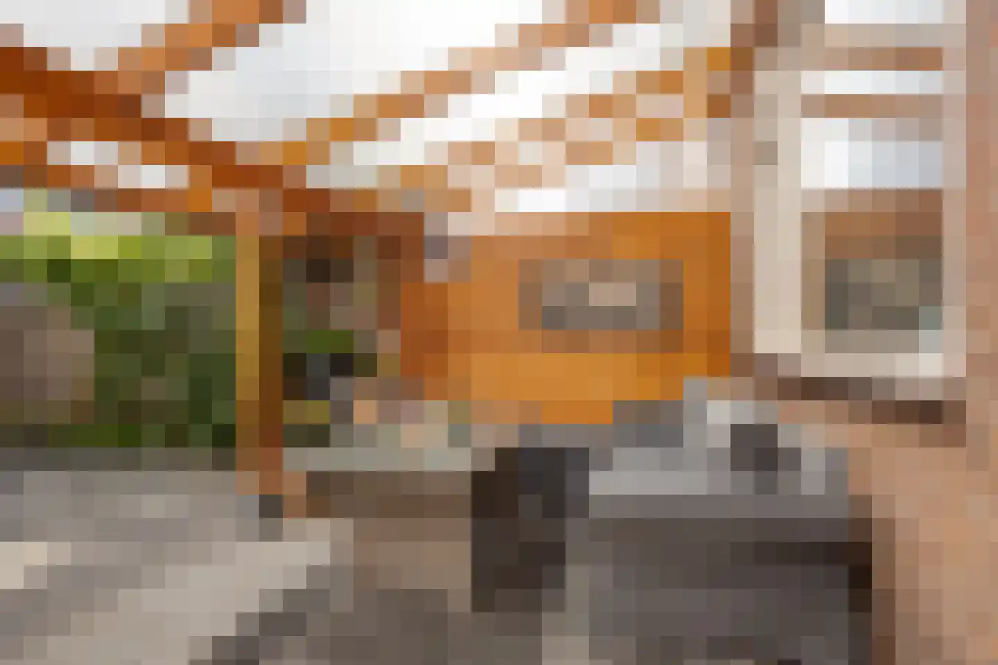 Wilgenstraat 14 Zaandam thumbnail 28