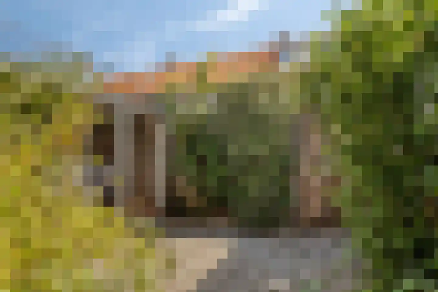 Wilgenstraat 14 Zaandam thumbnail 34