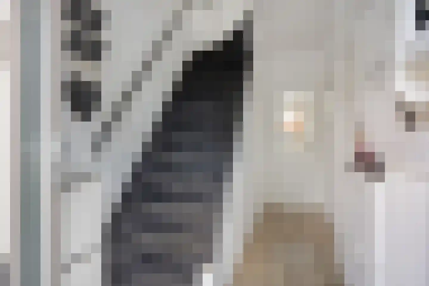 Wilgenstraat 14 Zaandam thumbnail 6