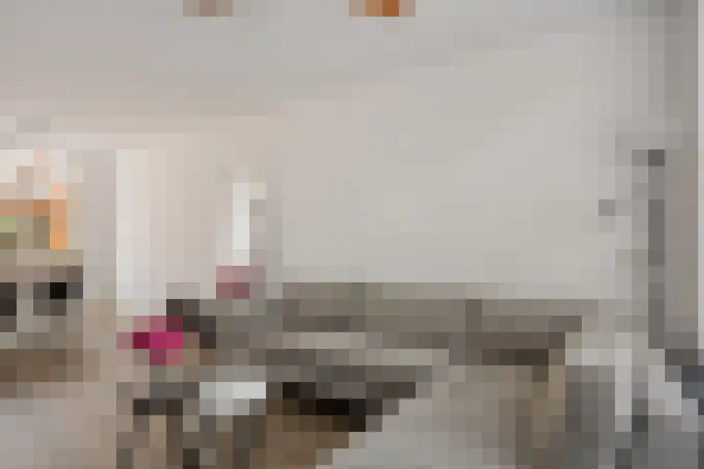 Wilgenstraat 14 Zaandam thumbnail 9