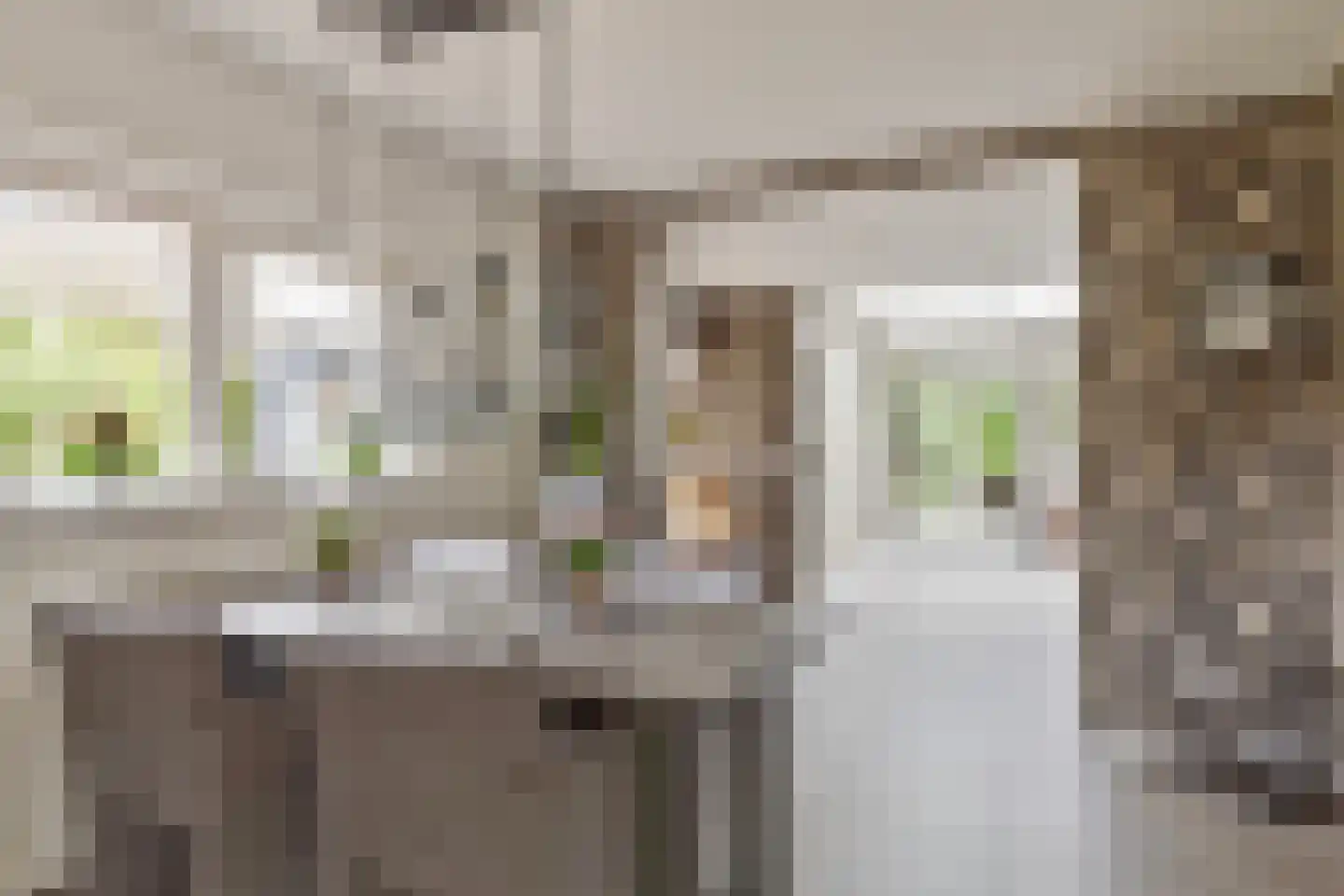 Wilgenstraat 15 Pannerden thumbnail 18
