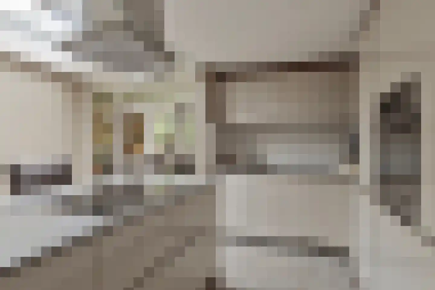 Wilgenstraat 15 Pannerden thumbnail 24