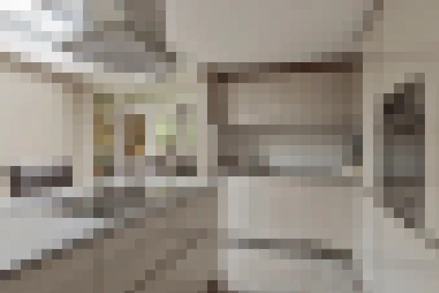 Wilgenstraat 15 Pannerden thumbnail 4