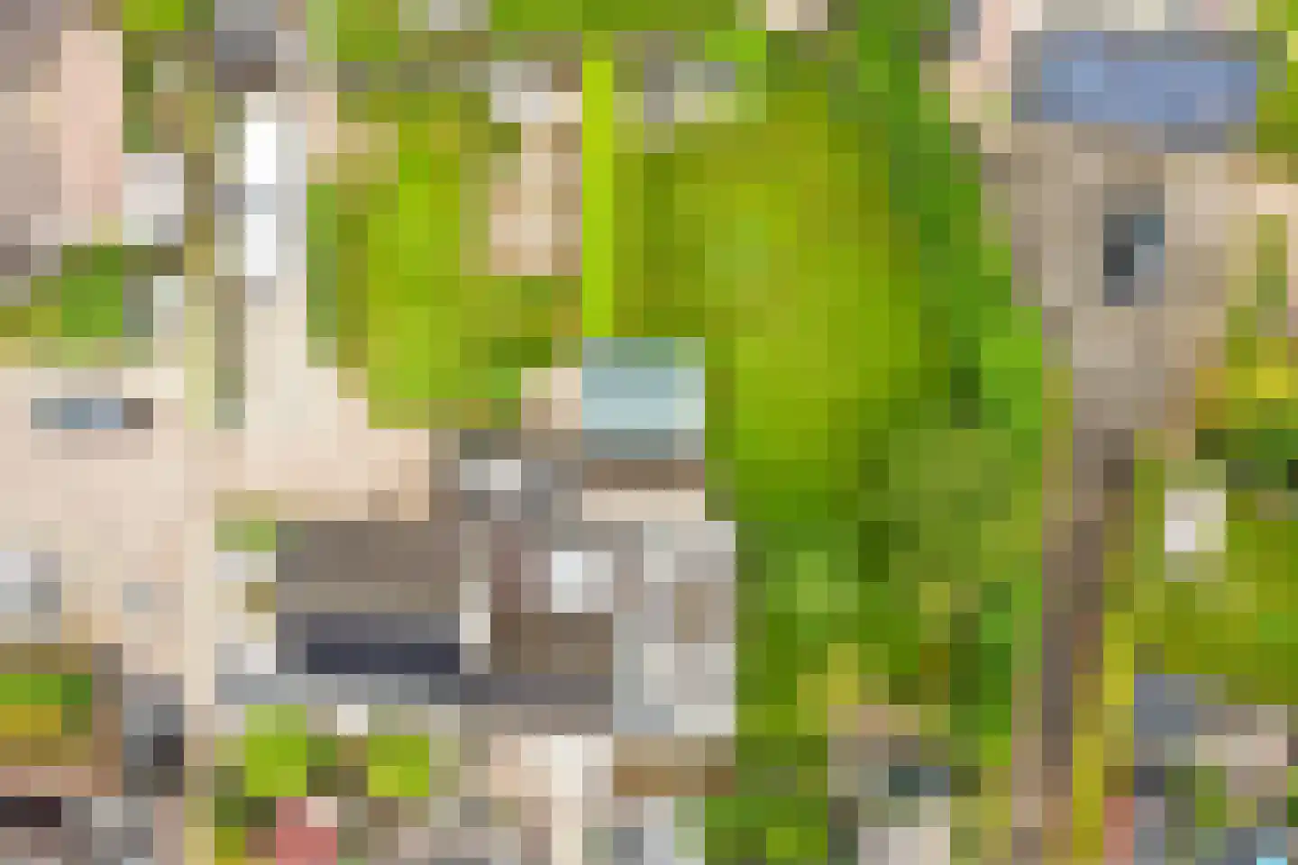 Wilgenstraat 15 Pannerden thumbnail 9