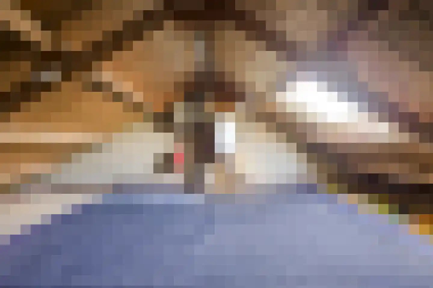 Wilgenstraat 16 Vianen thumbnail 33