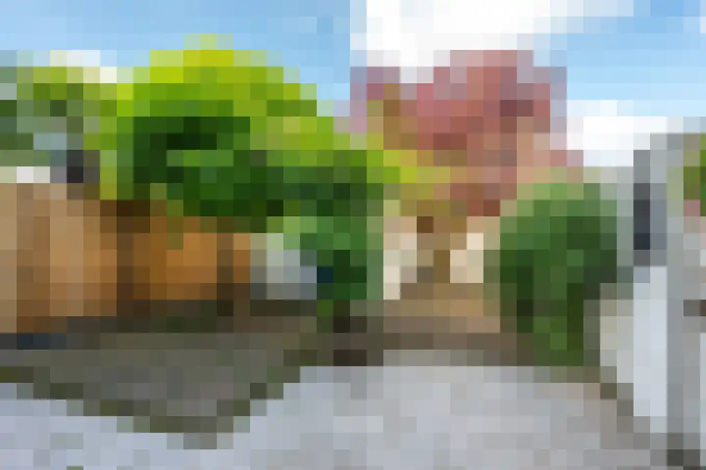 Wilgenstraat 16 Vianen thumbnail 39
