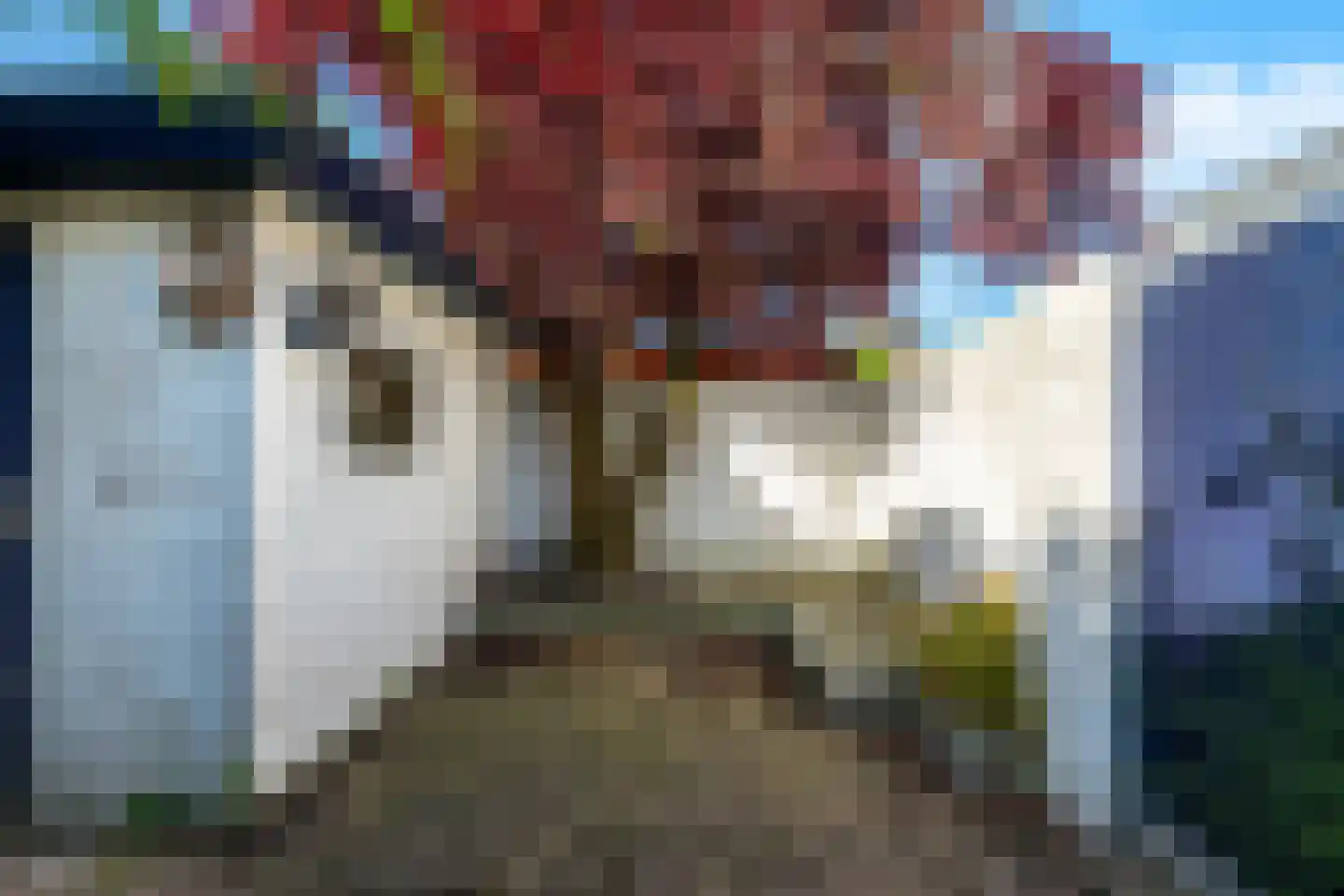 Wilgenstraat 16 Vianen thumbnail 40