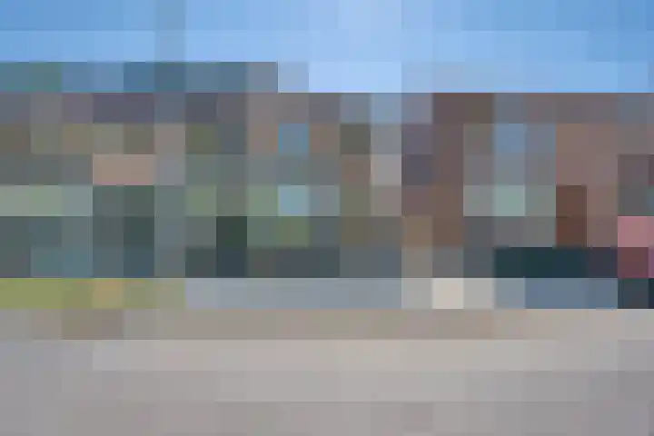Wilgenstraat 16 Zwijndrecht thumbnail 5