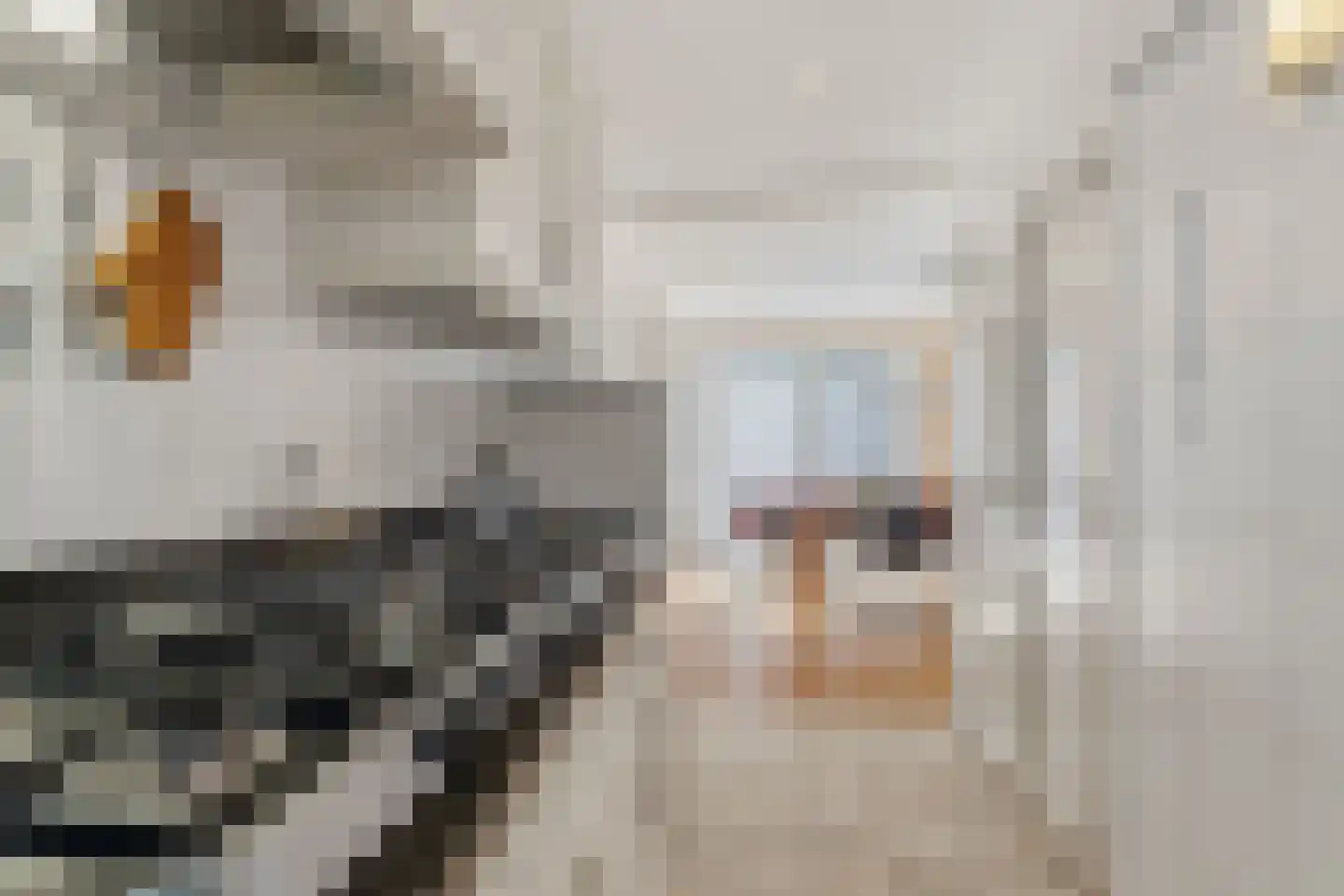Wilgenstraat 17 Pannerden thumbnail 17