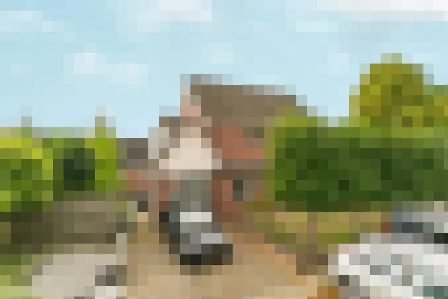 Wilgenstraat 17 Pannerden thumbnail 8