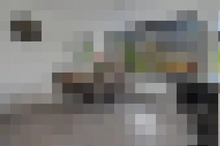 Wilgenstraat 17 Vianen thumbnail 4