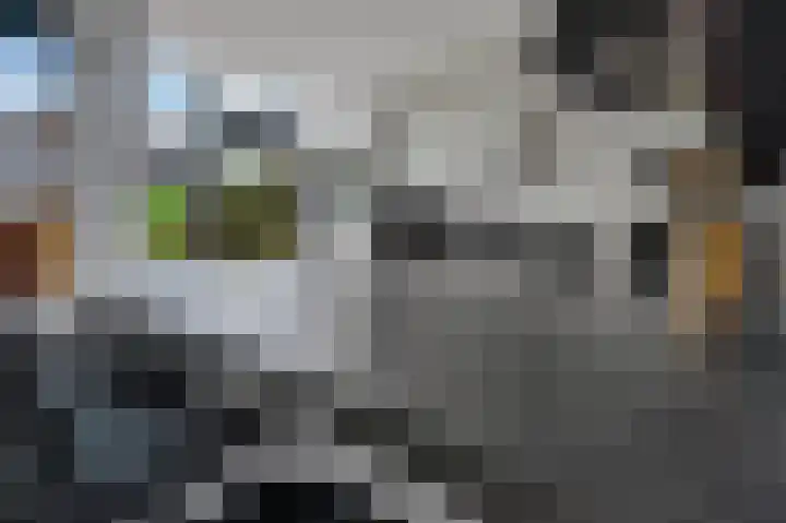 Wilgenstraat 17 Vianen thumbnail 6