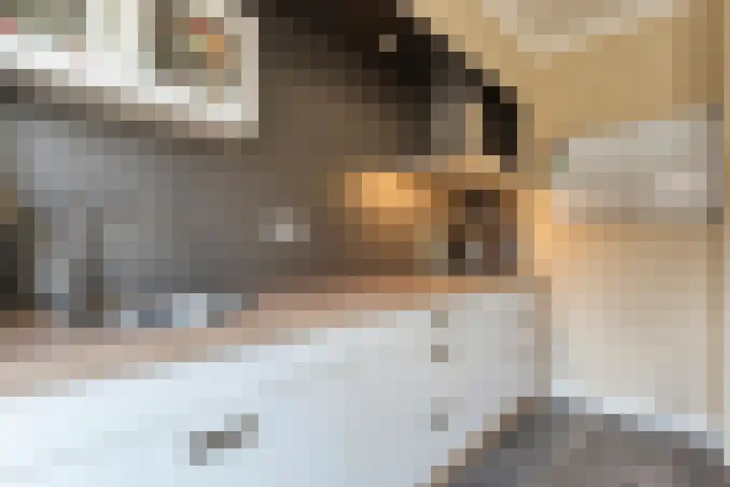 Wilgenstraat 18 Dalen thumbnail 26