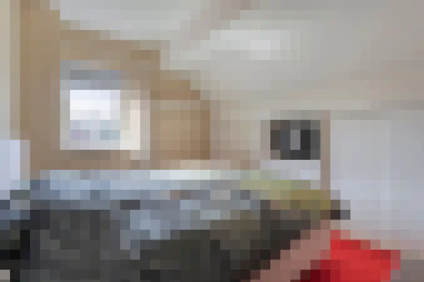 Wilgenstraat 18 Dalen thumbnail 30