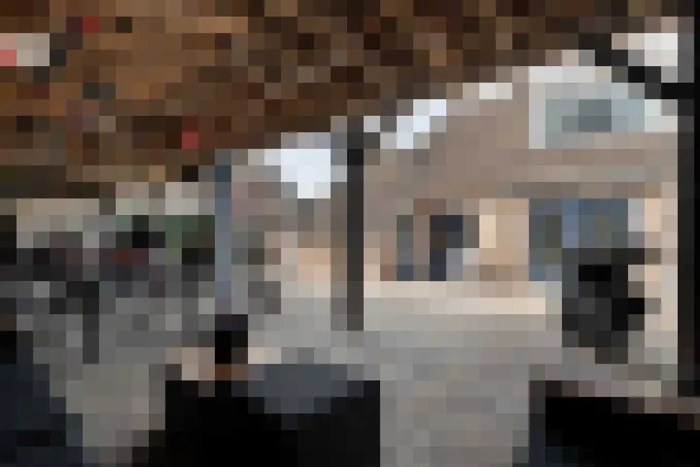 Wilgenstraat 18 Dalen thumbnail 47