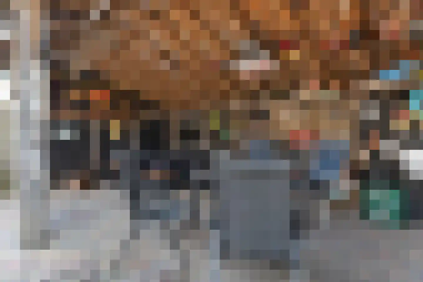 Wilgenstraat 18 Dalen thumbnail 48