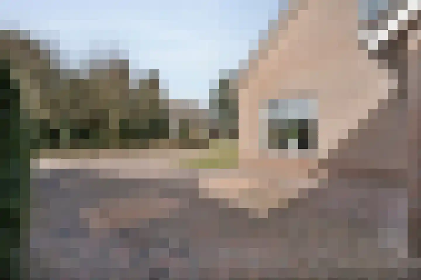 Wilgenstraat 18 Dalen thumbnail 6