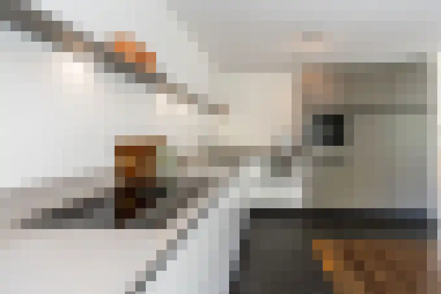 Wilgenstraat 18 Hunsel thumbnail 15