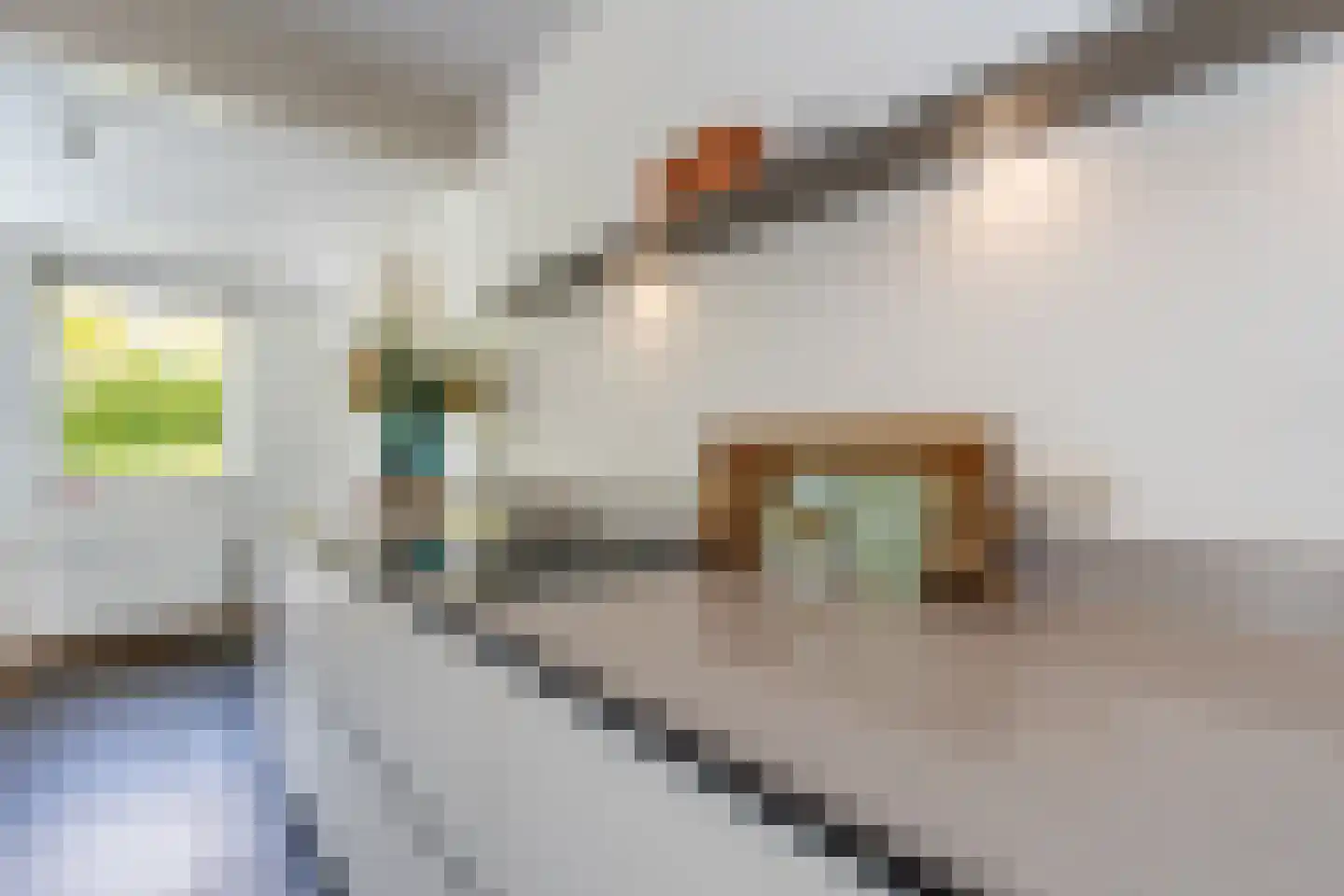 Wilgenstraat 18 Hunsel thumbnail 16