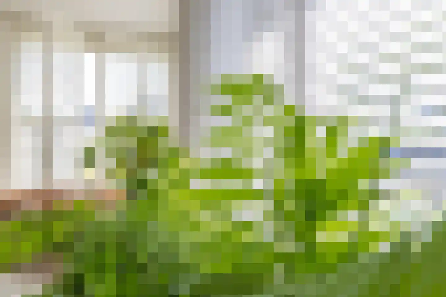 Wilgenstraat 18 Hunsel thumbnail 20