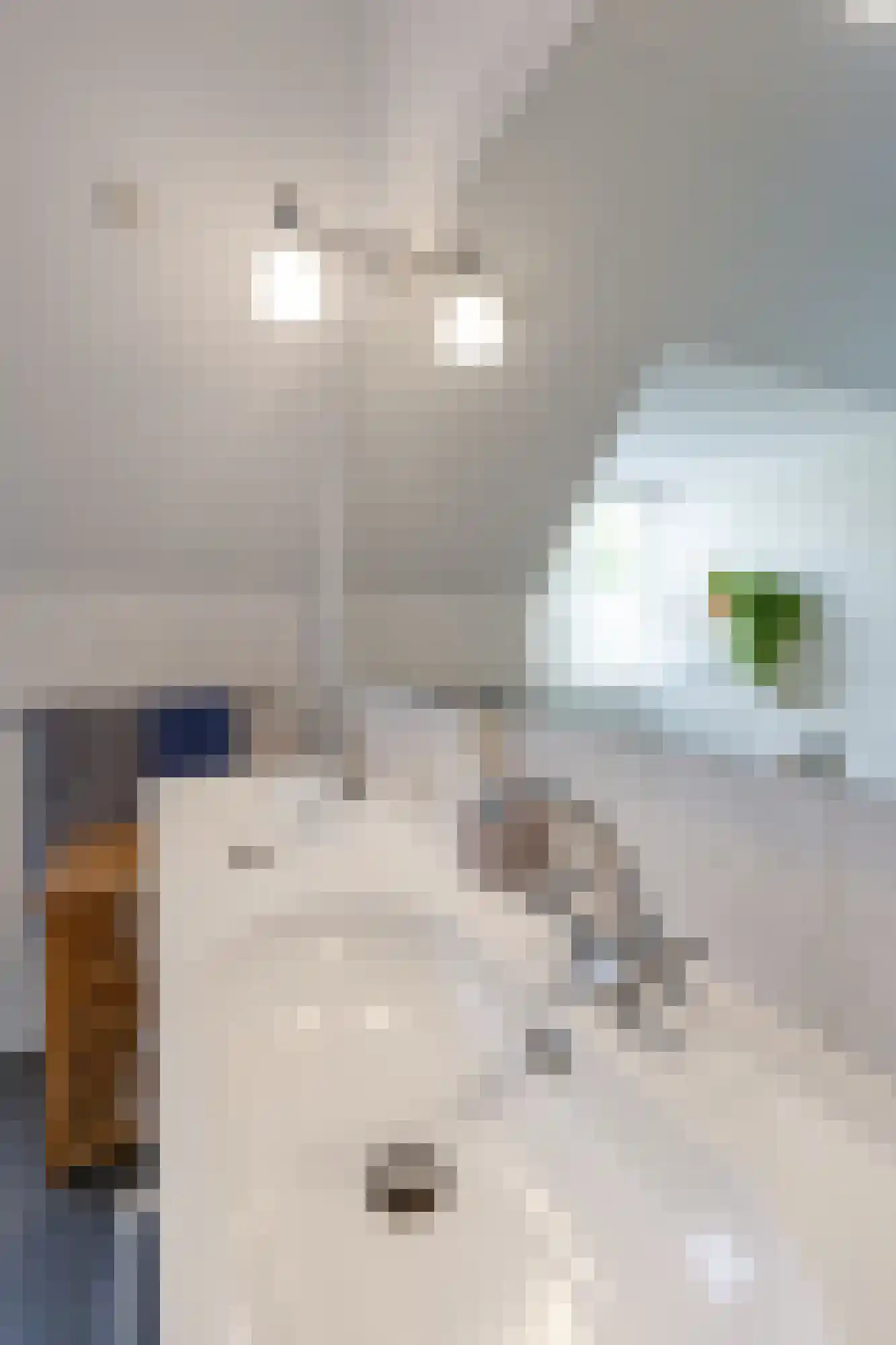 Wilgenstraat 18 Hunsel thumbnail 31